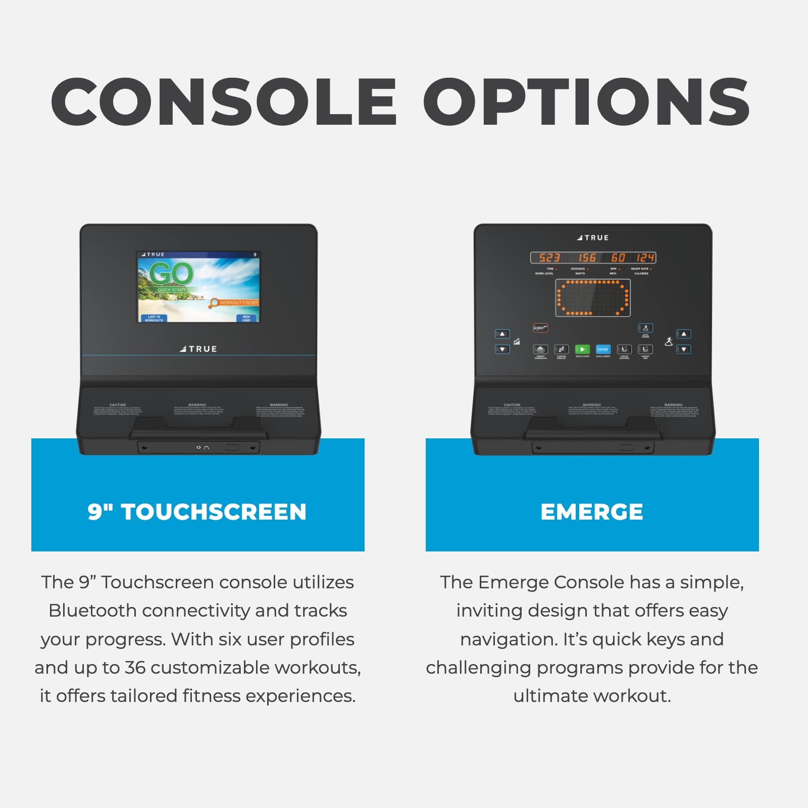 TRUE Performance Elliptical Trainer Console Options