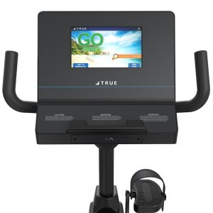 True Performance Recumbent Bike 9in (RR1-0A-35)